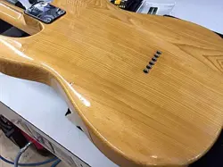 SEN BODY MAPLE