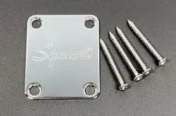 W/MOUNTING SCREWS TELE