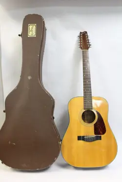 F-310-12 12-STRING ACOUSTIC