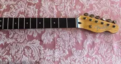 FENDER ROSEWOOD MIGHTY