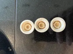 NOISELESS STRATOCASTER LOADED