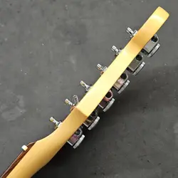 ROSEWOOD NECK STRATOCASTER