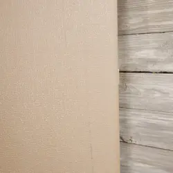 TOLEX HARDSHELL BASS