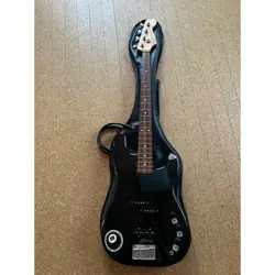 BASS ELECTRIC NO.LG1020