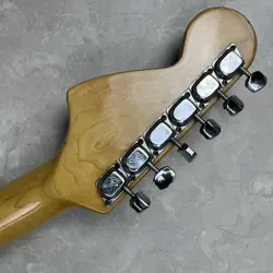 STRATOCASTER HARD CASE