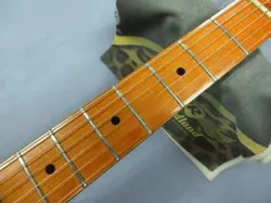 SHIPPING FENDER AMERICAN