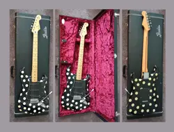 DOT FENDER USA