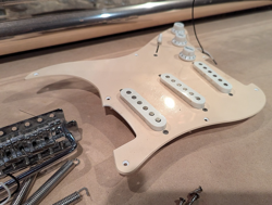 PICKGUARD/ TREMOLO/SCREWS/SSS