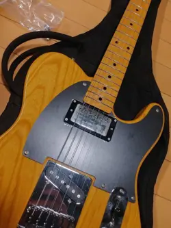 JAPAN TELECASTER SAFE