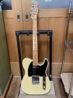 FENDER JAPAN TELECASTER N SERIAL