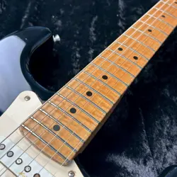 SIGNATURE STRATOCASTER SAFE