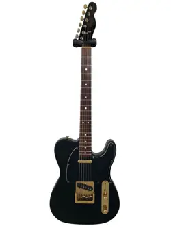/1981S ELECTRIC GUITAR