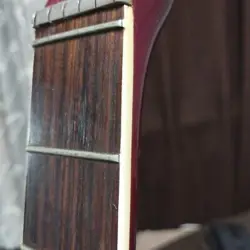 ELECTRIC FENDER GIBSON