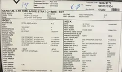 STRATOCASTER GOLD NECK