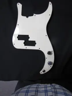 PICKGUARD WITH COMPLETE