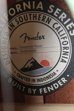 NEWPORTER PLAYER ACOUSTIC