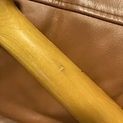 JAPAN JAGUAR SUNBURST