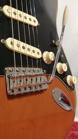 MAPLE NECK W/GIGCASE