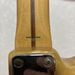 STRATOCASTER NATURAL ELECTRIC