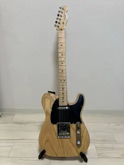 PROFESSIONAL TELECASTER S/N