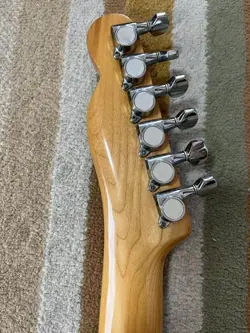 FUJIGEN VINTAGE RARE