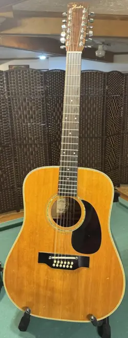 F-55-12 ACOUSTIC 12-STRING