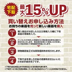 LIMITED1960PRECISION BASS