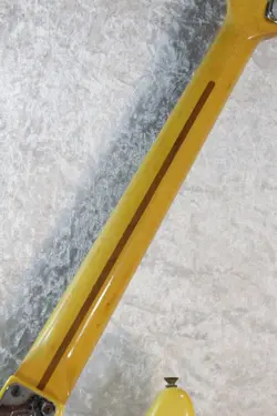 WHITE ROSEWOOD FINGERBOARD