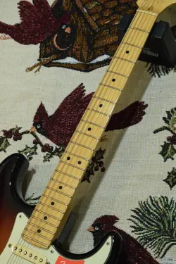 PROFESSIONAL ST 2017