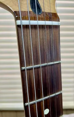 FNDDER FENDER PLAYER