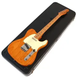 TELECASTER 1973 SAFE
