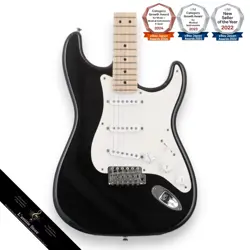 BLACK NOISELESS PICKUPS