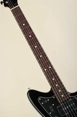 LIMITED COLOR FENDER