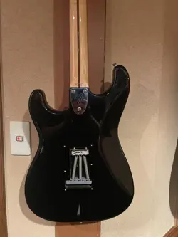 ELECTRIC GUITAR SAFE