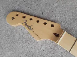 PROFESSIONAL MAPLE STRATOCASTER