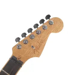 EBONY FRETBOARD MAXED