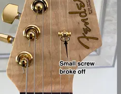 WARMOTH STRATOCASTER