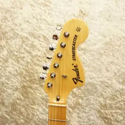 FENDER JAPAN ST71-TX NO.DG1690