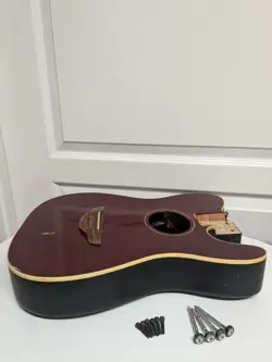 *READ* ACOUSTIC ELECTRIC