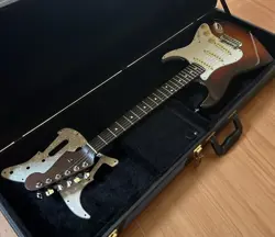 PROFESSIONAL STRAT W/ALL