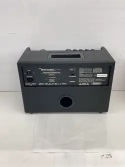 AMPLIFIER MUSTANG GT40