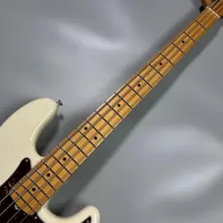 /AMERICAN PROFESSIONAL II