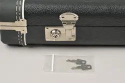 LIMITED EDITION STRATOCASTER/TELECASTER