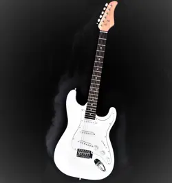PROS BEGINNERS!FENDER STRATOCASTER