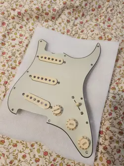 LOADED PICKGUARD MINT