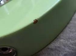 STANDARD TELECASTER HH