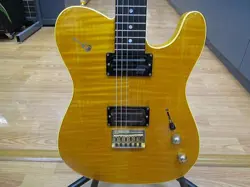 (FENDER)TL-235NE NOKIE EDWARDS SIGNATURE NATURAL GOLD HARDWARE MIJ E.GUITAR