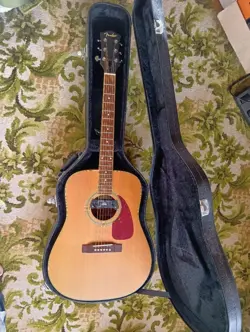 FENDER DG-16NAT ACOUSTIC GUITAR HARD CASE WITH PICKUP