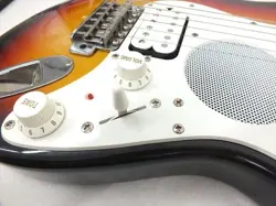 BUILT-IN AMPLIFIER SUNBURST