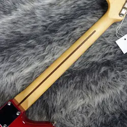 2024 COLLECTION JAZZMASTER